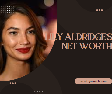 An image of Lily Aldridge's Net Worth